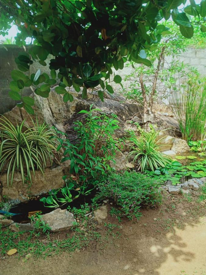 Sidhangana Home Stay Anuradhapura Kültér fotó