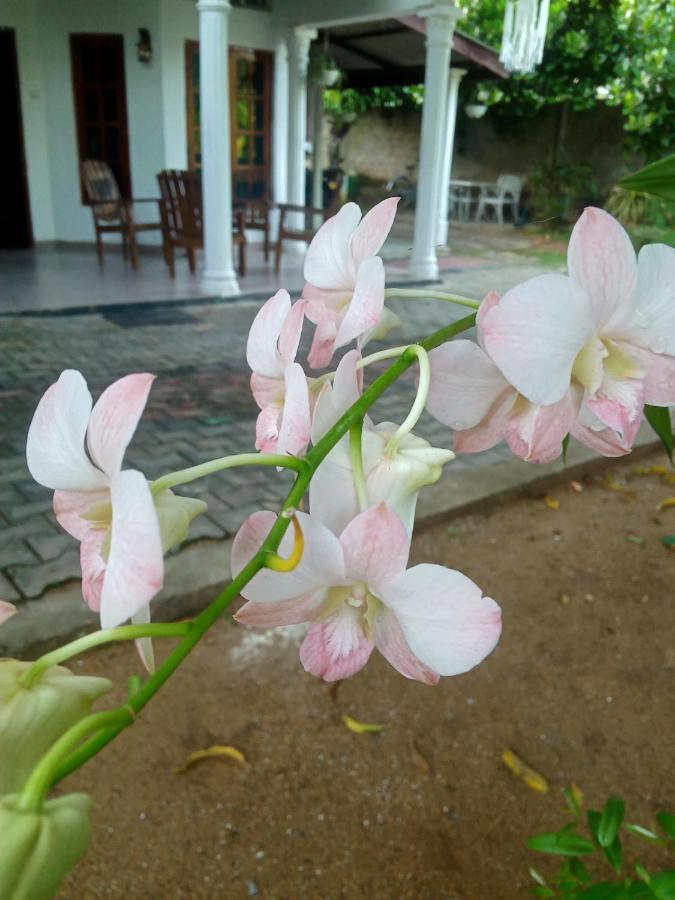 Sidhangana Home Stay Anuradhapura Kültér fotó