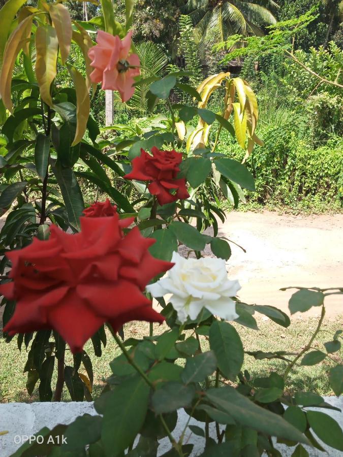Sidhangana Home Stay Anuradhapura Kültér fotó