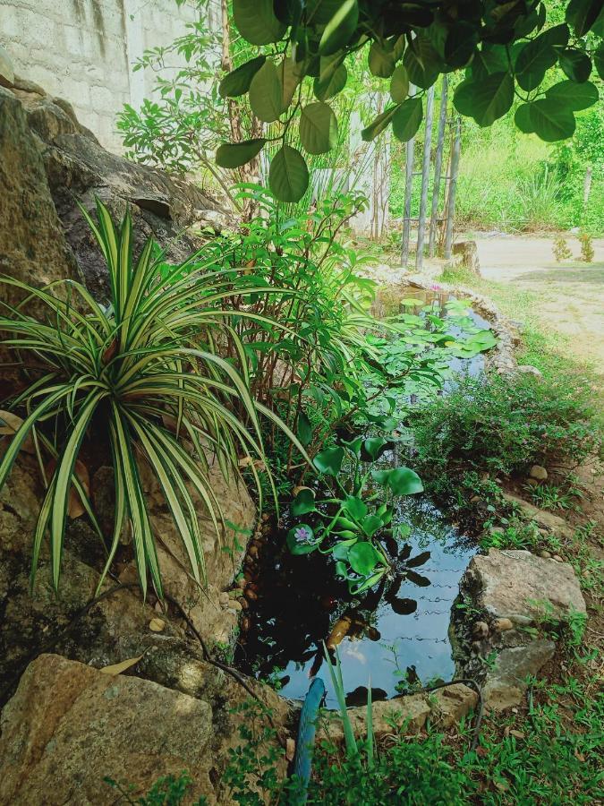 Sidhangana Home Stay Anuradhapura Kültér fotó