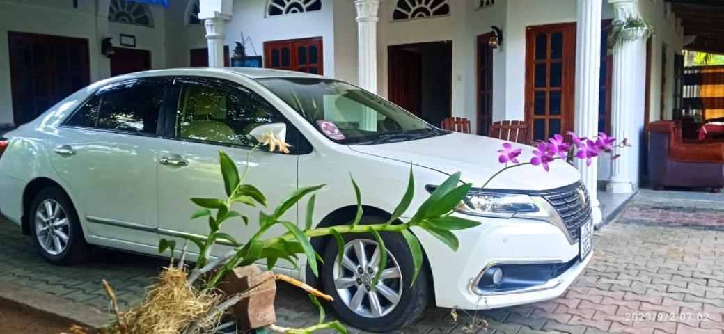 Sidhangana Home Stay Anuradhapura Kültér fotó