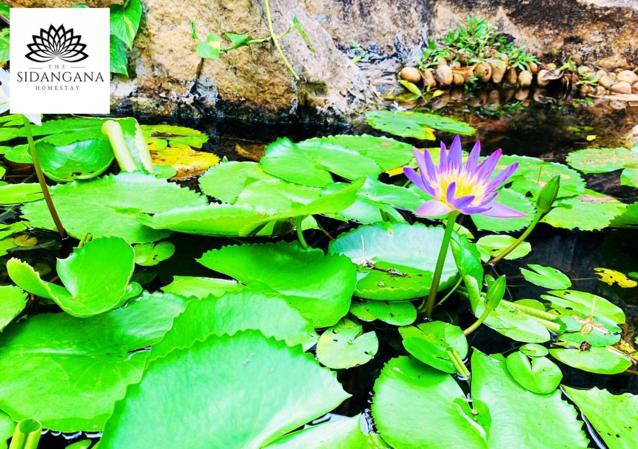 Sidhangana Home Stay Anuradhapura Kültér fotó