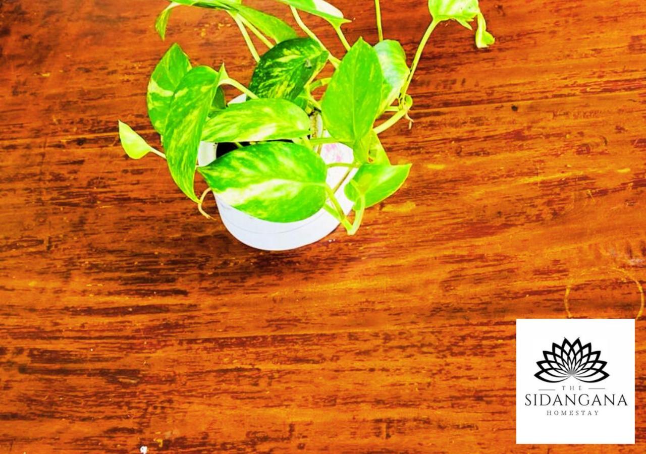 Sidhangana Home Stay Anuradhapura Kültér fotó
